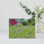 Wildblumen im Land Feiertagspostkarte (Stehend Vorderseite)