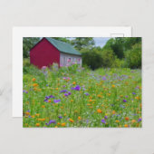 Wildblumen im Land Feiertagspostkarte (Vorne/Hinten)