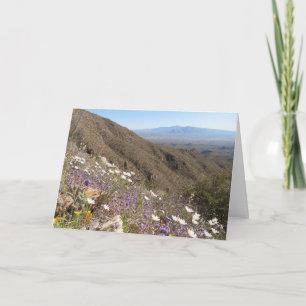 Wildblumen im Saguaro-Nationalpark I Karte