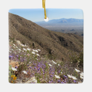 Wildblumen im Saguaro-Nationalpark I Keramikornament