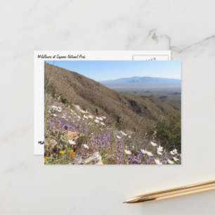 Wildblumen im Saguaro-Nationalpark I Postkarte