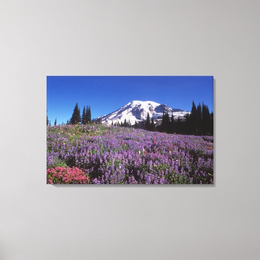 Wildblumen im Sommer am Fuße des Berges Rainier, Leinwanddruck (Vorderseite)