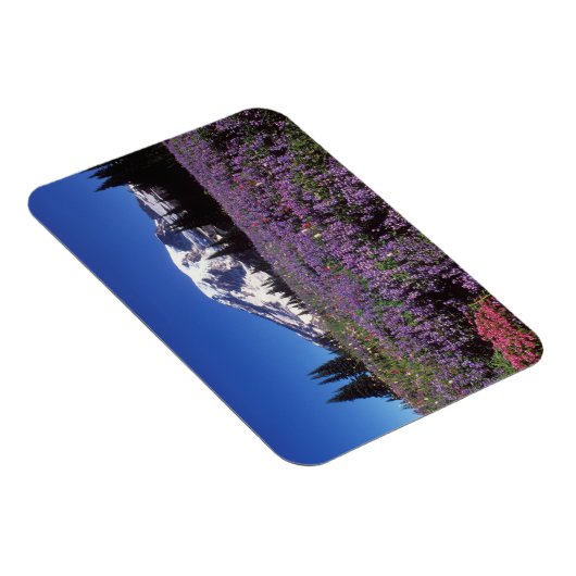 Wildblumen im Sommer am Fuße des Berges Rainier, Magnet (Rechte Seite)