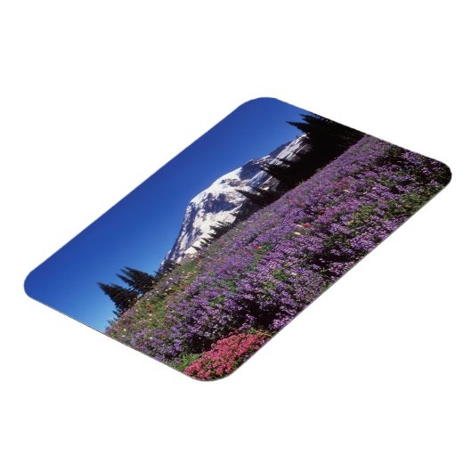 Wildblumen im Sommer am Fuße des Berges Rainier, Magnet (Linke Seite)