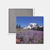 Wildblumen im Sommer am Fuße des Berges Rainier, Magnet (Vorderseite/Rückseite)
