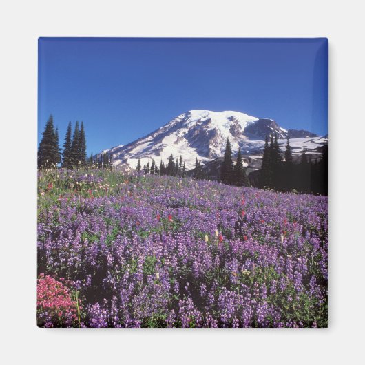 Wildblumen im Sommer am Fuße des Berges Rainier, Magnet (Vorne)