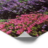 Wildblumen im Sommer am Fuße des Berges Rainier, Poster (Ecke)