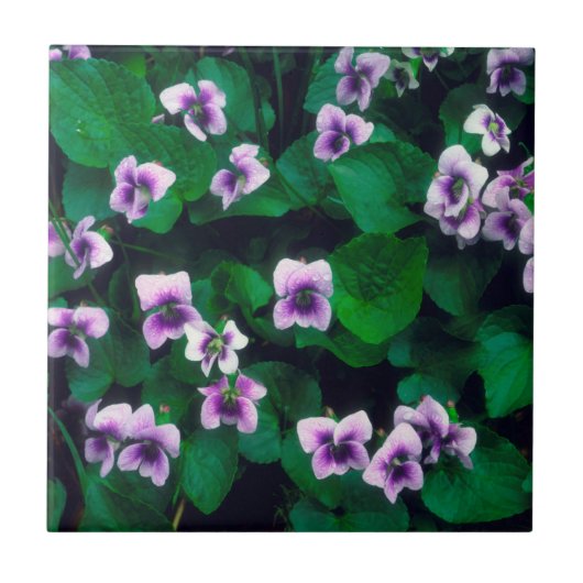 Wildblumen im Wald Fliese (Vorderseite)