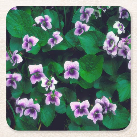 Wildblumen im Wald Rechteckiger Pappuntersetzer (Vorderseite)