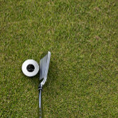 Wildblumen in Aquarellfarben, Monogramm, S, schwar Golfball