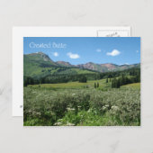 Wildblumen in Crested Butte Postkarte (Vorne/Hinten)