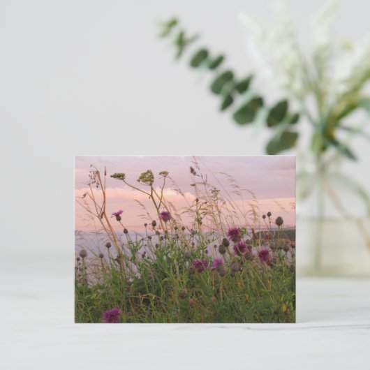 Wildblumen in der Abenddämmerung Postkarte (Stehend Vorderseite)