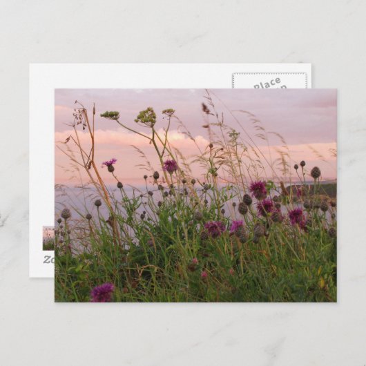 Wildblumen in der Abenddämmerung Postkarte (Vorne/Hinten)