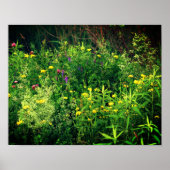 Wildblumen in der Feldflora Poster (Vorne)