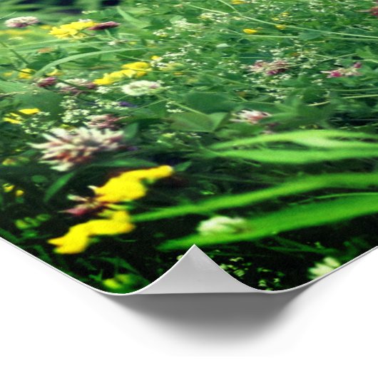 Wildblumen in Feld 2 Blume Poster (Ecke)