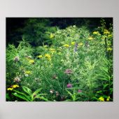 Wildblumen in Feld 2 Blume Poster (Vorne)