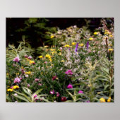 Wildblumen in Foto-Ölgemälden Poster (Vorne)