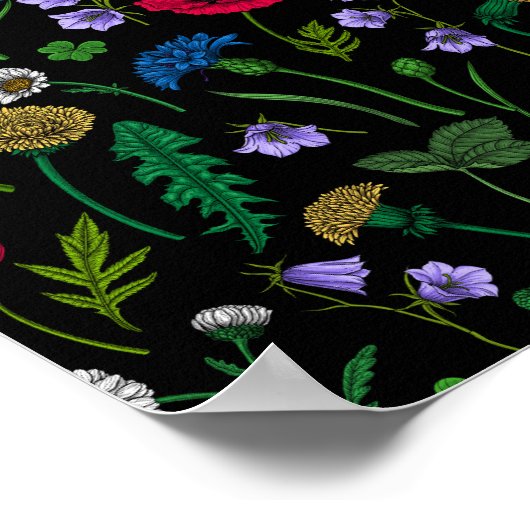 Wildblumen in schwarz poster (Ecke)