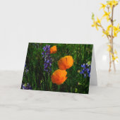 Wildblumen in Sonoma County Karte (Gelbe Blume)