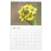 Wildblumen Kalender (Mär 2027)