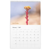 Wildblumen Kalender (Feb 2027)