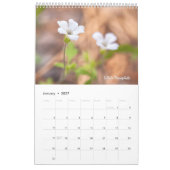 Wildblumen Kalender (Jan 2027)