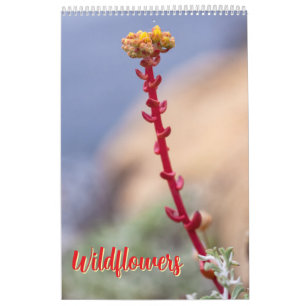 Wildblumen Kalender