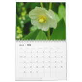 Wildblumen Kalender (Mär 2026)