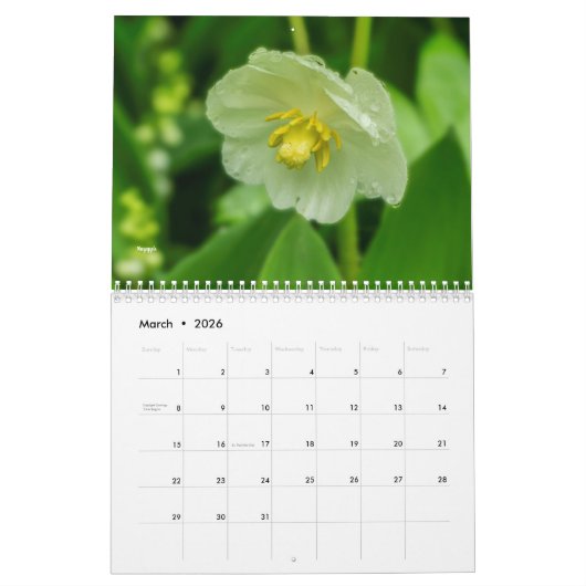 Wildblumen Kalender (Mär 2026)