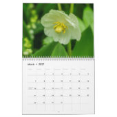 Wildblumen Kalender (Mär 2027)