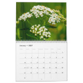 Wildblumen Kalender (Jan 2027)