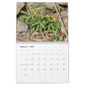 Wildblumen Kalender (Feb 2027)
