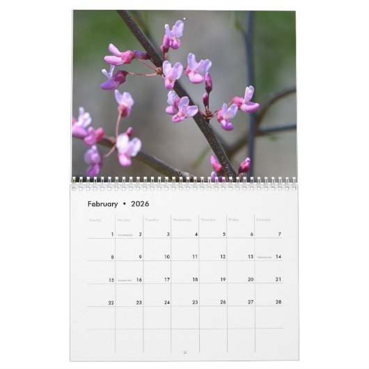Wildblumen Kalender (Feb 2026)