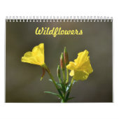 Wildblumen Kalender (Titelbild)