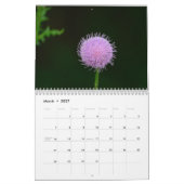 Wildblumen Kalender (Mär 2027)