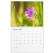 Wildblumen kalender (Feb 2027)