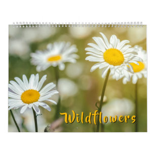 Wildblumen kalender
