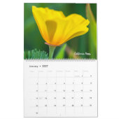 Wildblumen kalender (Jan 2027)