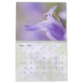 Wildblumen Kalender (Mär 2027)