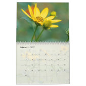 Wildblumen Kalender (Feb 2027)