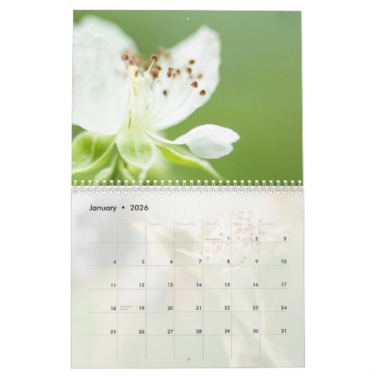 Wildblumen Kalender (Jan 2026)