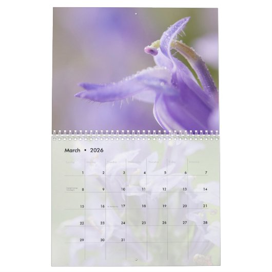 Wildblumen Kalender (Mär 2026)