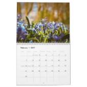 Wildblumen-Kalender 2026 Kalender (Feb 2027)