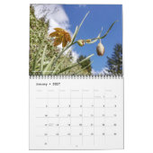 Wildblumen-Kalender von Oregon Kalender (Jan 2027)