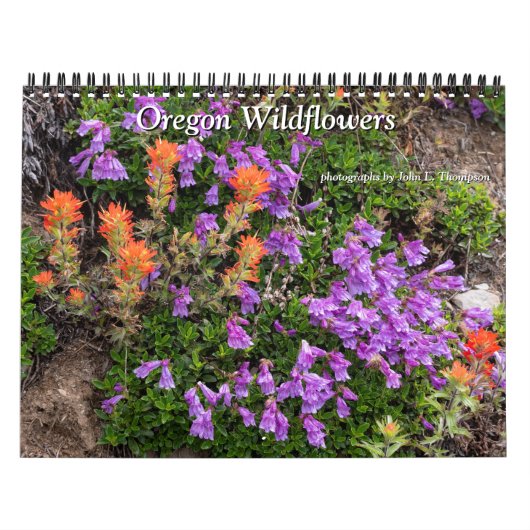 Wildblumen-Kalender von Oregon Kalender (Titelbild)
