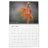 Wildblumen-Kalender von Oregon Kalender (Mär 2026)