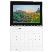Wildblumen-Kalender von Thomas Minutolo Kalender (Jan 2027)