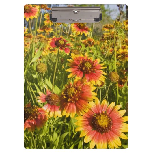 Wildblumen Klemmbrett (Vorderseite)