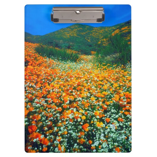 Wildblumen Klemmbrett (Vorderseite)