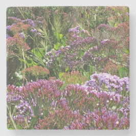 Wildblumen, La Jolla Cove, CA Steinuntersetzer